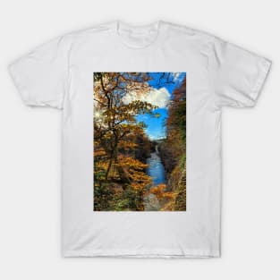 Autumnal High Force T-Shirt